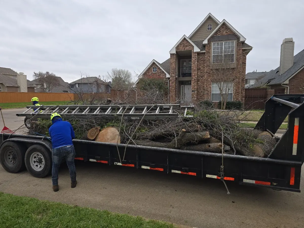 Expert Crown Reduction with proper safety equipment in Eaton Rapids